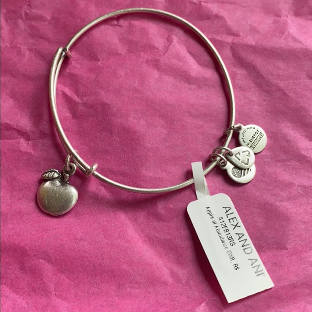 Alex and Ani bracelet!